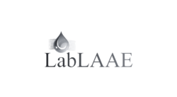 LabLAAE